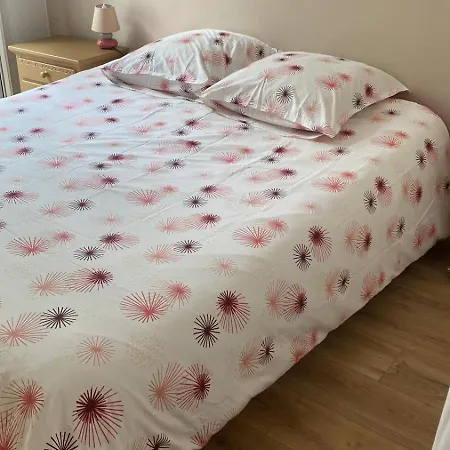 Lägenhet Le 6 Magnifique Appt 3etoiles