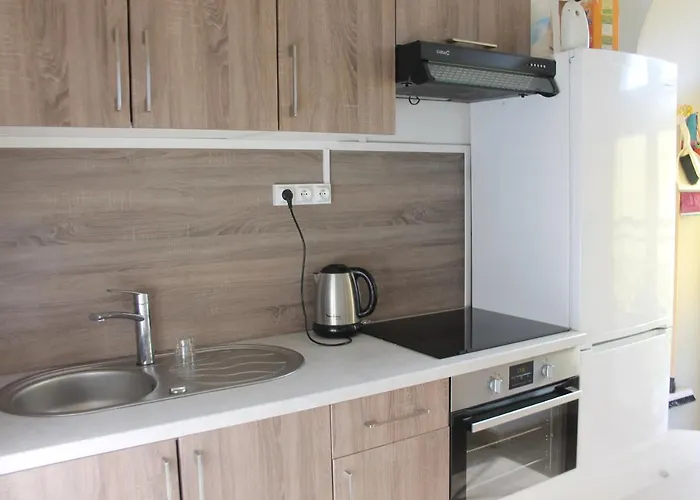 Le 6 Magnifique Appt Bagnères-de-bigorre 3étoiles * Bagnères-de-Bigorre