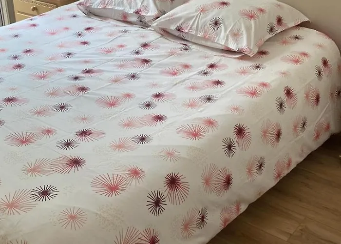 Appartement Le 6 Magnifique Appt Bagnères-de-bigorre 3étoiles